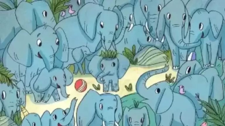 Can You Find the Hidden Rhino Among the Elephants Within 15 Secs? Explanation and Solution to the Optical Illusion