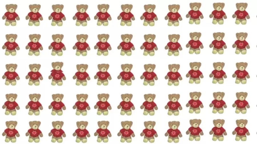 Can You Identify The Odd Teddy Bear In This Image Within 14 Seconds? Explanation And Solution To The Optical Illusion