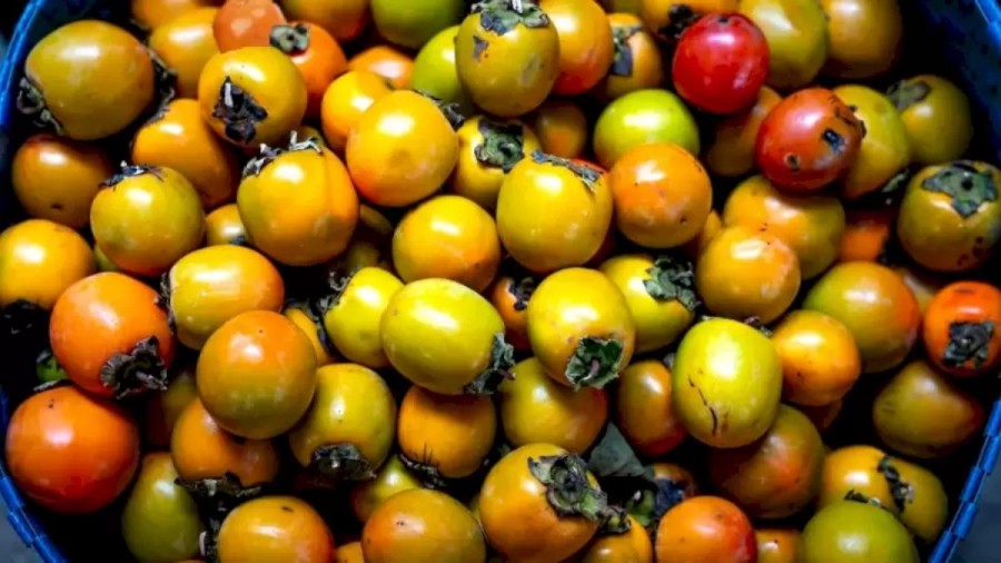 Can You Locate The Jujube Fruit Among These Persimmons In This Optical Illusion Within 12 Seconds?