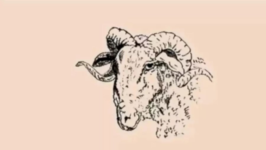 Can You Notice The Hidden Face Of A Child In This Drawing Of A Ram Image Within 21 Seconds