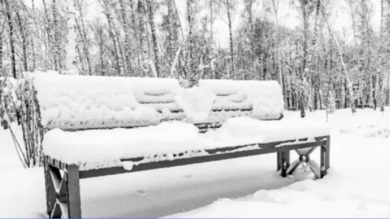 Can You Spot The Hidden Rabbit Among Snow Within 12 Seconds? Explanation And Solution To The Rabbit Optical Illusion