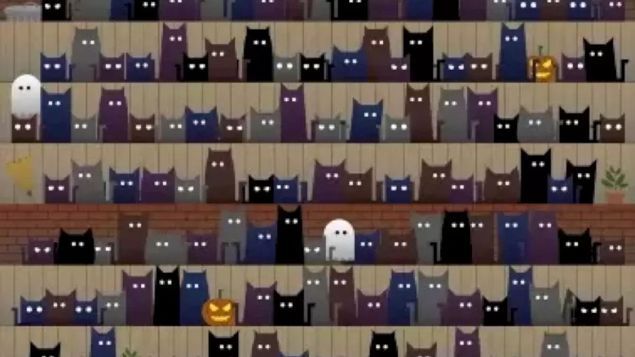 Can You Spot The Hidden Witch Hat Among These Spooky Cats Within 15 Seconds? Explanation And Solution To The Hidden Witch Hat Optical Illusion