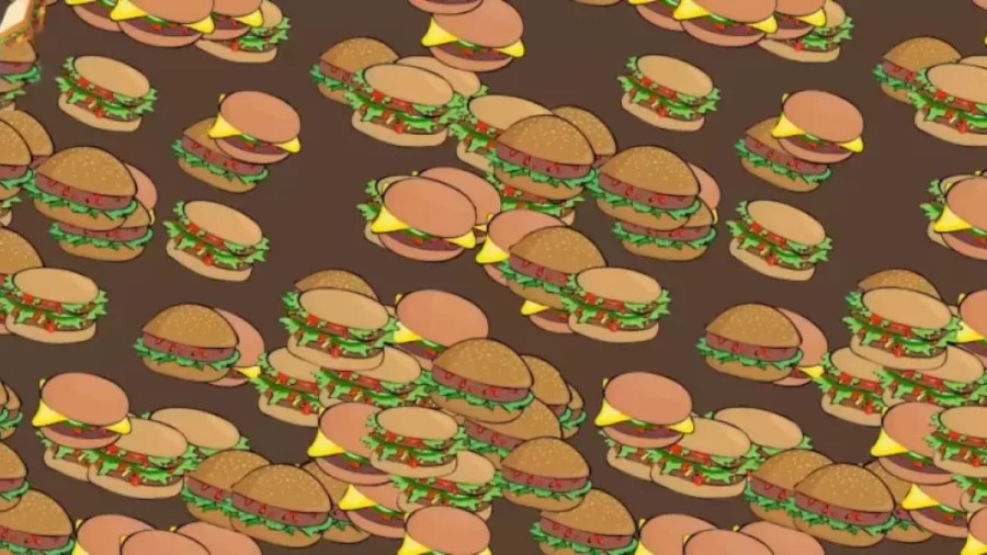 Can You Spot The Sandwich Among These Burgers Within 5 Seconds? Explanation And Solution To The Optical Illusion
