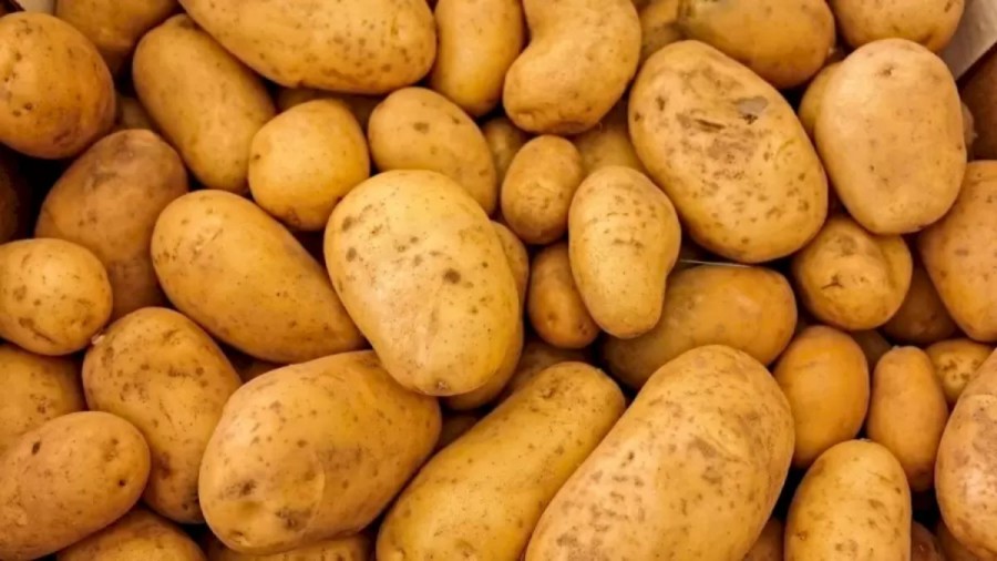 Can You Spot a Needle Among the Potato within 10 Seconds Explanation and Solution to the Optical Illusion