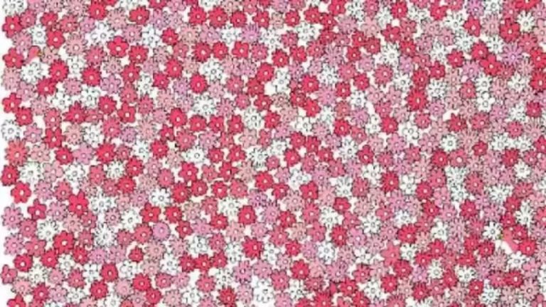 Can You Spot the Duck Among the Flowers in 10 Seconds? Explanation And Solution To The Optical Illusion