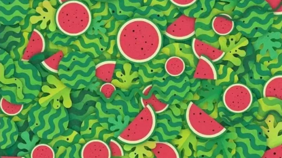 Can you spot the Hidden Snake among these Watermelons within 12 Seconds? Explanation and Solution to the Hidden Snake Optical Illusion