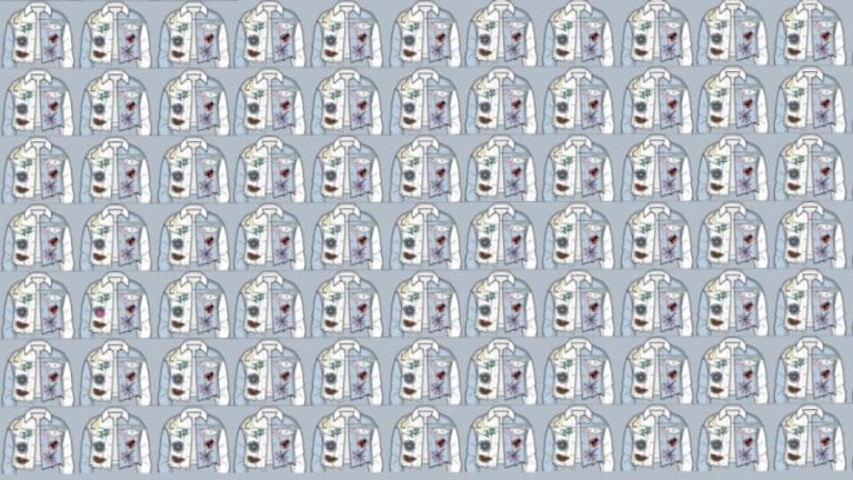 Eye Confusing Optical Illusion: Find the Odd Shirt in 10 Seconds