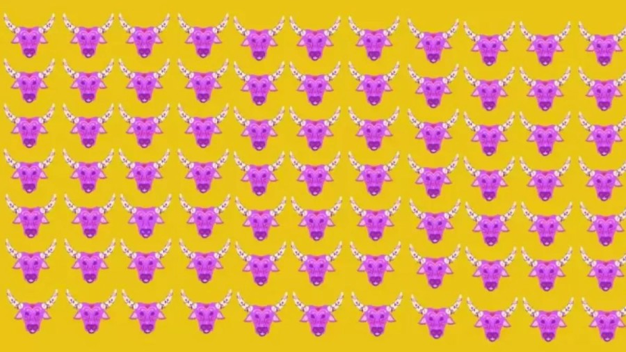 Eye Test Optical Illusion: One Of The Design Patterns Of The Cow Face Is Different From The Others. Can You Find It?