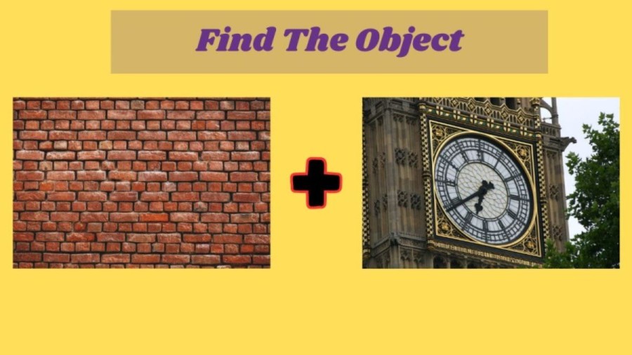 Find The Object Brain Teaser: If You Have Good IQ Power Find The Object By Connecting The Pictures