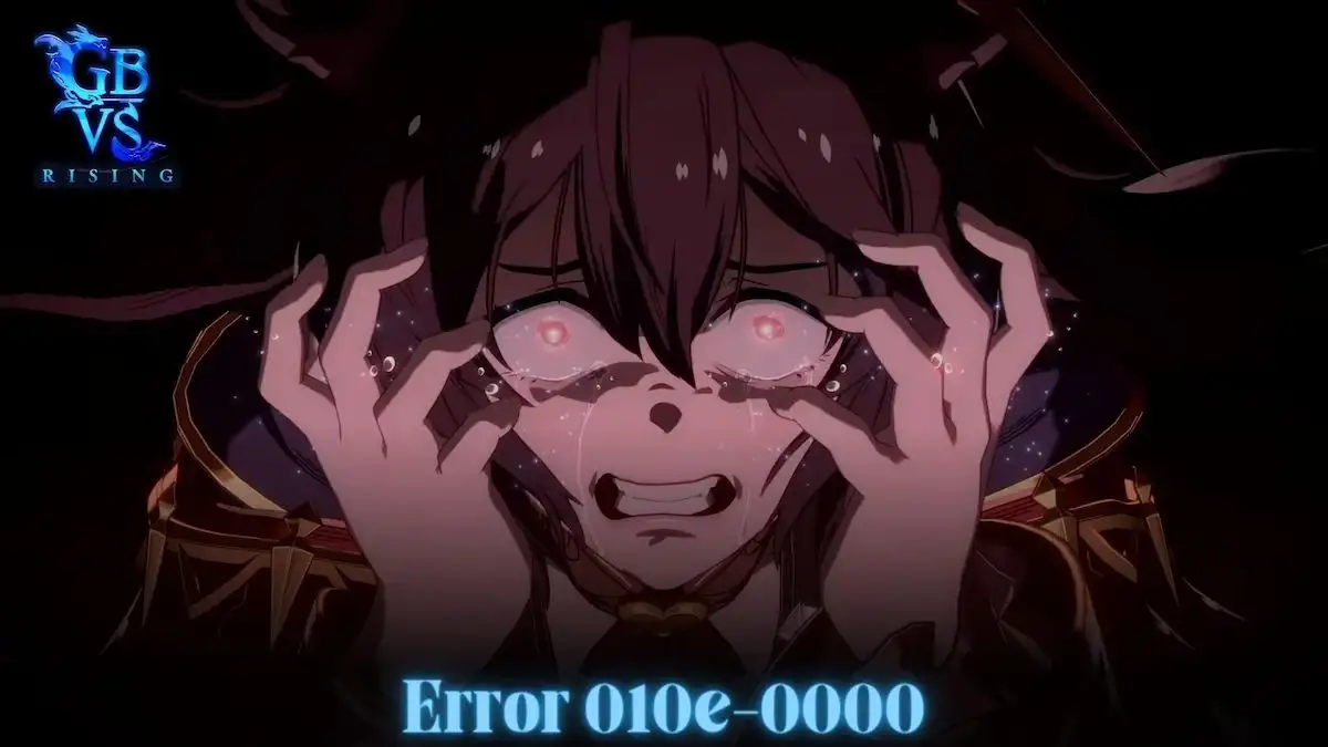 Granblue Fantasy Versus Rising Error 010e-0000, How to Fix Granblue Fantasy Versus Rising Error 010e-0000?