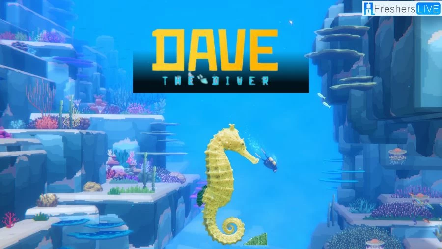 How to Find the Runaway Seahorses in Dave the Diver? Unravel the Mystery of the Runaway Seahorses