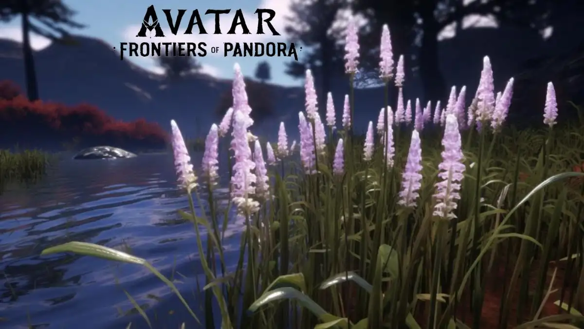 How to Get Sunset Reed in Avatar Frontiers of Pandora? What is the Use of it?