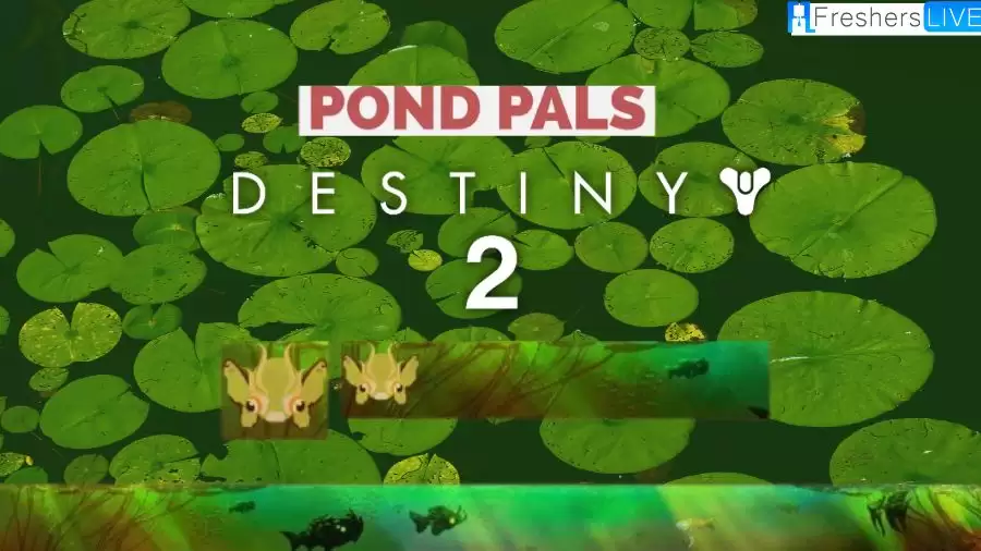 How to get the Pond Pals emblem - Destiny 2, Everything You Need to Know!
