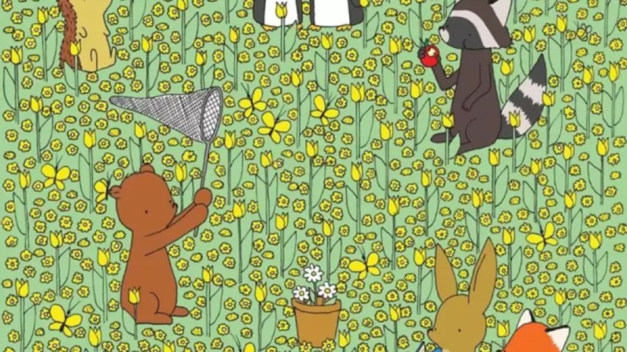 If You Have Hawk Eyes, Spot the Honey Bee in this Optical Illusion