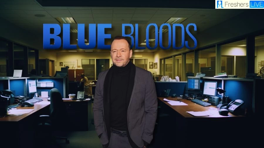 Is Donnie Wahlberg Leaving Blue Bloods? Who Plays Donnie Wahlberg in Blue Bloods?