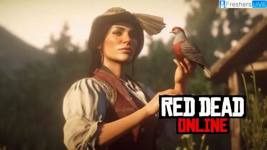 Is Red Dead Online Crossplay? Is it Cross Platform for PC and Xbox?