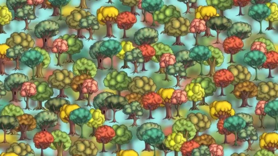 It Is Not Just Some Trees. There Is A Well Hidden Broccoli In This Optical Illusion. Can You Locate It?