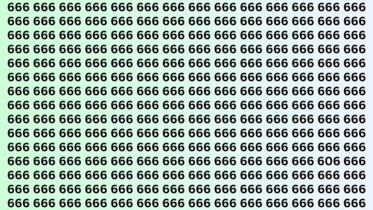 Observation Skills Test : Can you find the number 606 among 666 in 10 seconds?