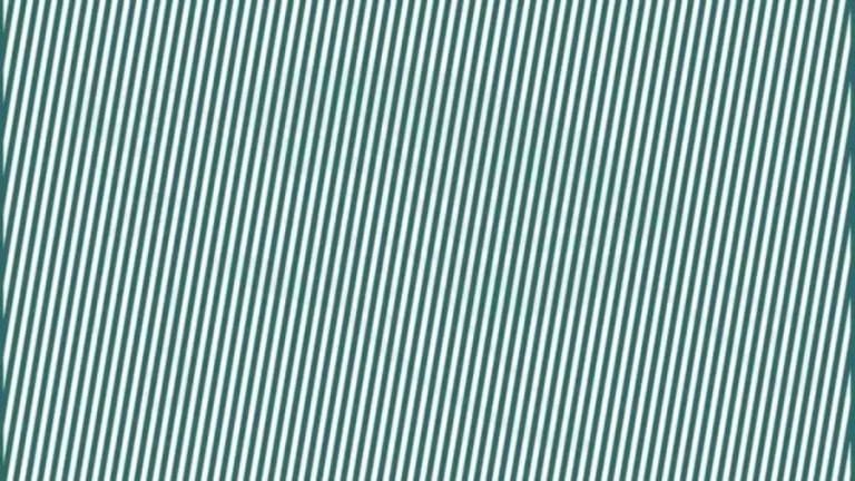 Only Hawk Eyes People can spot Hidden Turtle behind lines in 10 Secs – Explanation and Solution to this Turtle Optical Illusion