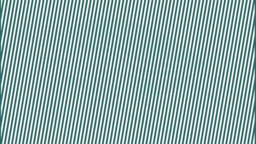 Only Hawk Eyes People can spot Hidden Turtle behind lines in 10 Secs - Explanation and Solution to this Turtle Optical Illusion