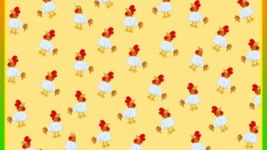 Optical Illusion Brain Test: Find the Roosters without Comb in Less than 15 Seconds