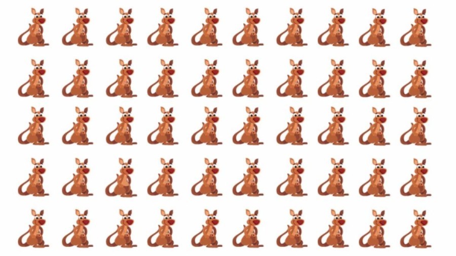 Optical Illusion Brain Test: Identify The Different Kangaroo In Less Than 25 Seconds And Prove That You Are An Intelligent