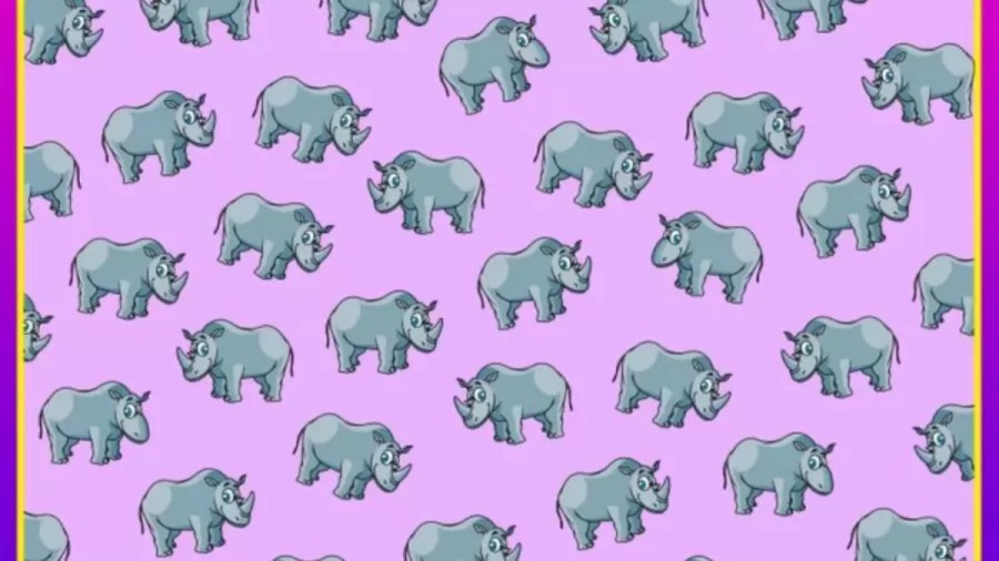 Optical Illusion Brain Test: In Less Than 19 Seconds, Spot The 4 Hornless Rhinos In This Image