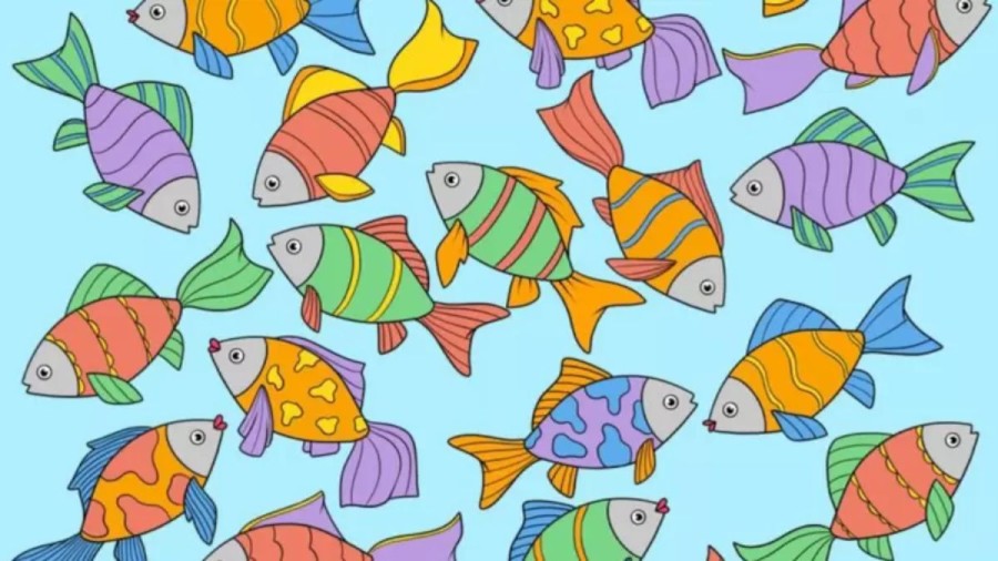 Optical Illusion Brain Test: You Are A Genius If You Identify The Fish Without Pair In This Image