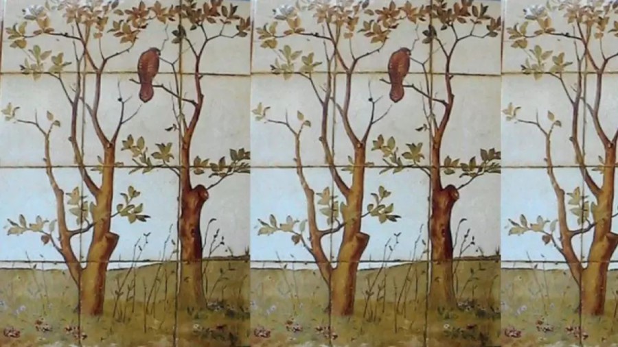 Optical Illusion: Can You Find Anything Other than the Bird in this Image?