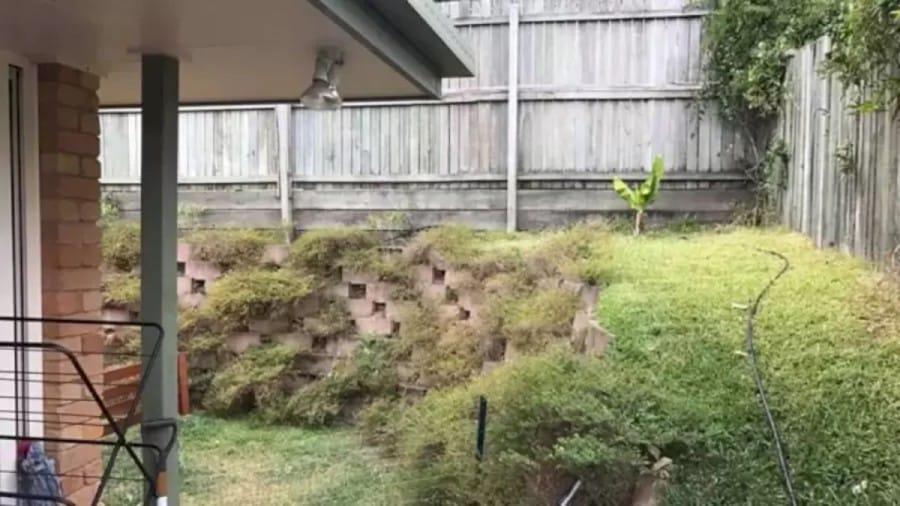 Optical Illusion: Can You Find a Huge Snake in this Backyard in 10 Seconds?