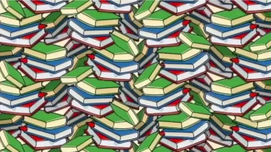 Optical Illusion: Can You Find a Pencil Among the Books