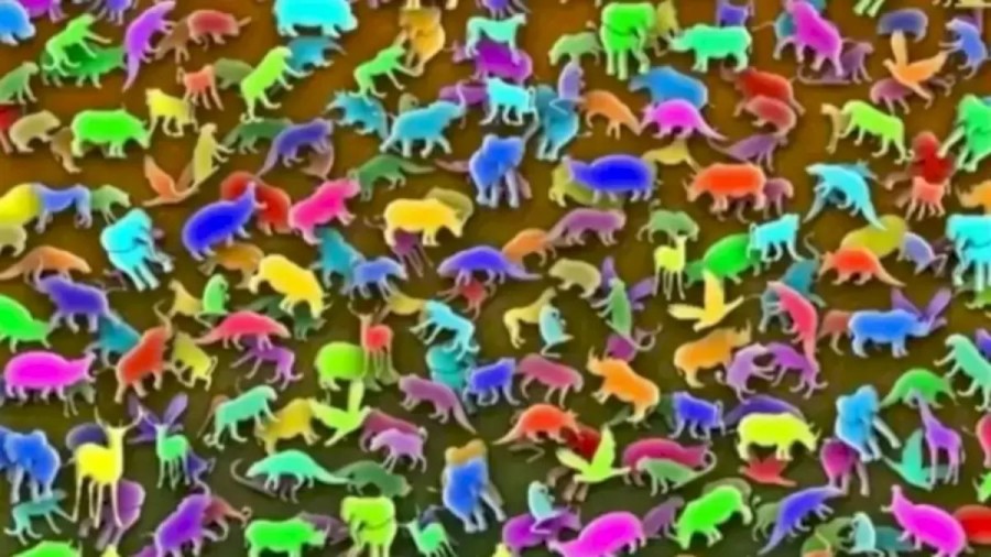Optical Illusion: Can You Spot the Giraffe in 15 Seconds?