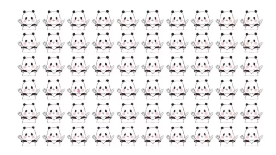 Optical Illusion: Can You identify the Different Panda in 12 Seconds?