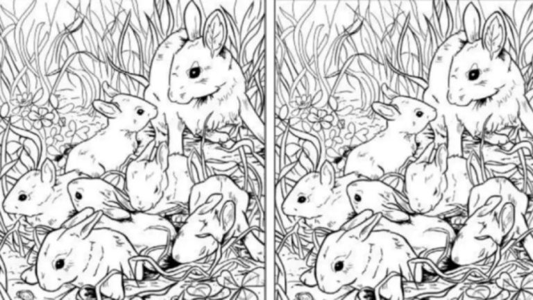 Optical Illusion Challenge: Can You Find a Seashell Among the Rabbits within 10 Seconds? Explanation and Solution To The Optical Illusion