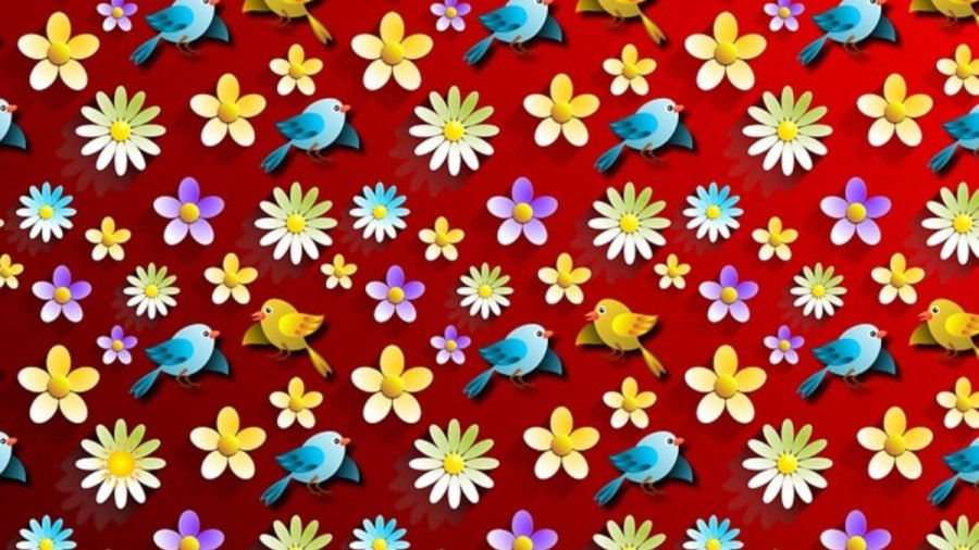 Optical Illusion Challenge: Only 10% People Can Notice The Sun Among These Birds And Flowers Within 25 Seconds. Can You?