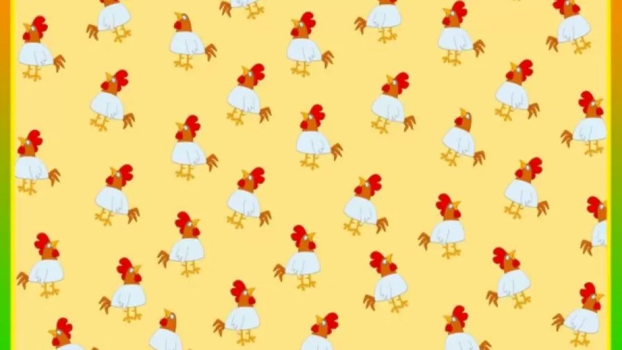 Optical Illusion Eye Test: Identify The Roosters Without Comb In Less Than 18 Seconds