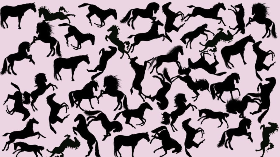 Optical Illusion Eye Test: Identify the Unicorn in this Picture within 10 Seconds If You Have Keen Eyes