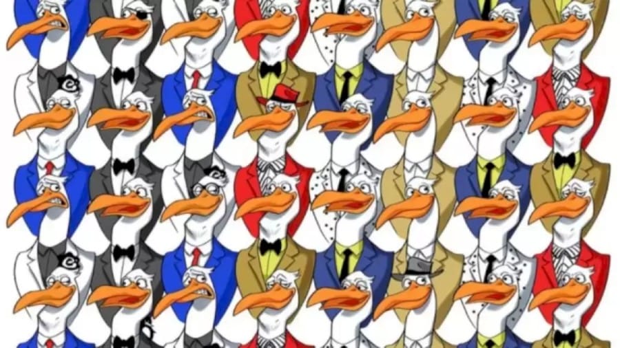 Optical Illusion Find and Seek: Can you find the Penguin in 15 Secs?
