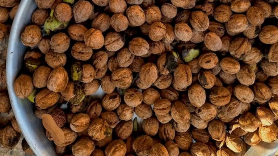 Optical Illusion Find and Seek: Groundnuts among Walnuts! Spot the Groundnut in less than 14 Seconds
