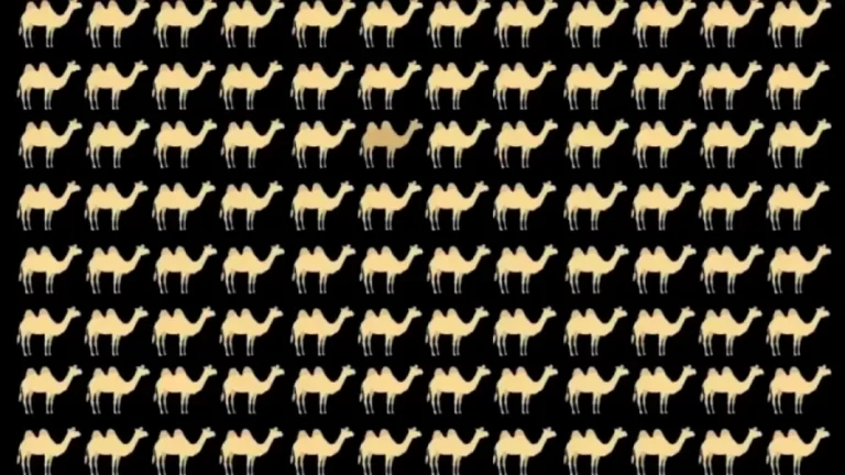 Optical Illusion For Eye Test: Can You Spot The Different Camel In This Image?