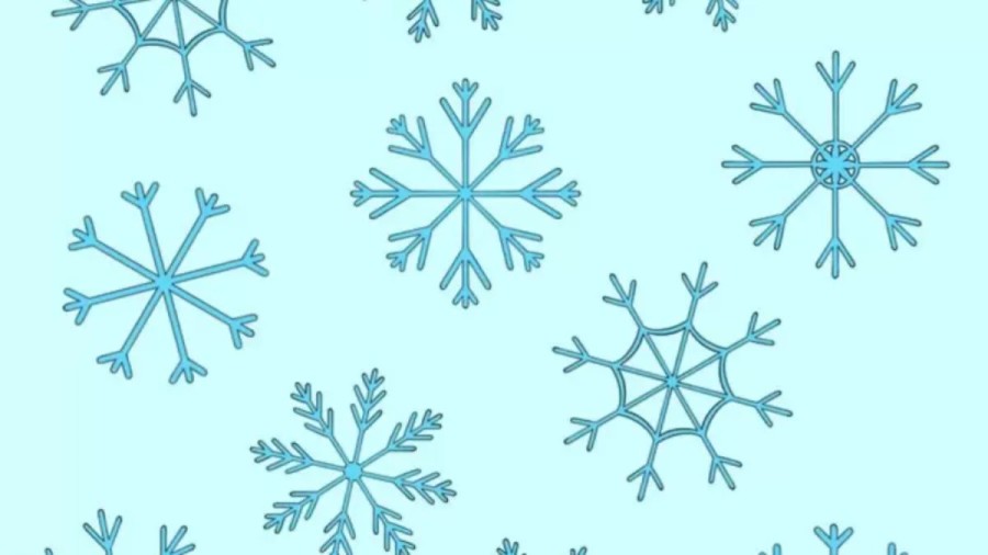 Optical Illusion For IQ Test: Can You Identify The Snowflake That Does Not Have A Pair?