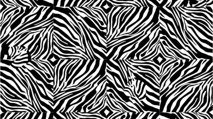 Optical Illusion: How Many Zebras Can You Find in this Image? Explanation and Solution to the Optical Illusion