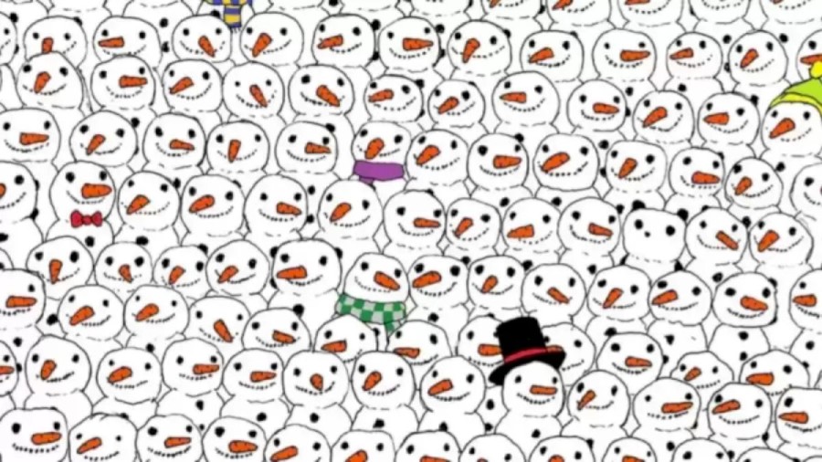 Optical Illusion IQ Test: Can You Detect the Hidden Panda Among the Snowman?