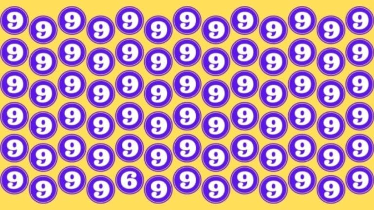 Optical Illusion: If you are good at numbers spot the Hidden Number 6 in the given picture within 8 secs