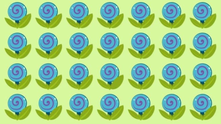 Optical Illusion: Only Genius Can Find the Hidden Candy Among the Blue Flowers within 15 seconds?