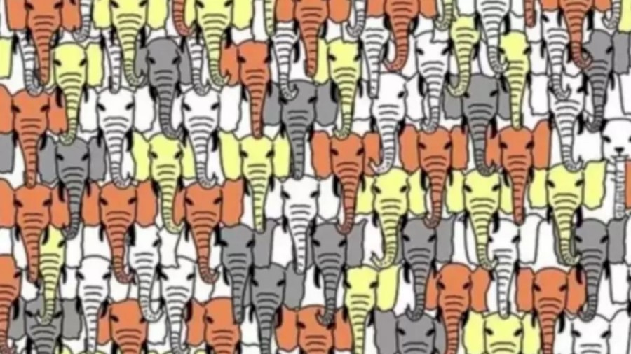 Optical Illusion Panda Search: Can You Find The Hidden Panda Among The Elephants Within 30 Seconds?
