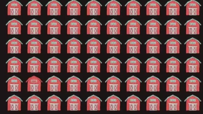 Optical Illusion Visual Test: Can You Spot The Different Barn?