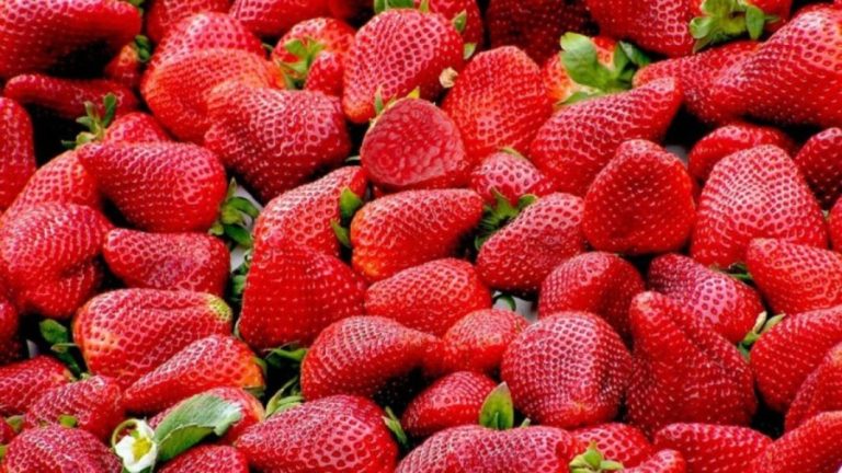 Optical Illusion Visual Test: Can you find the Hidden Raspberry within 12 Seconds?