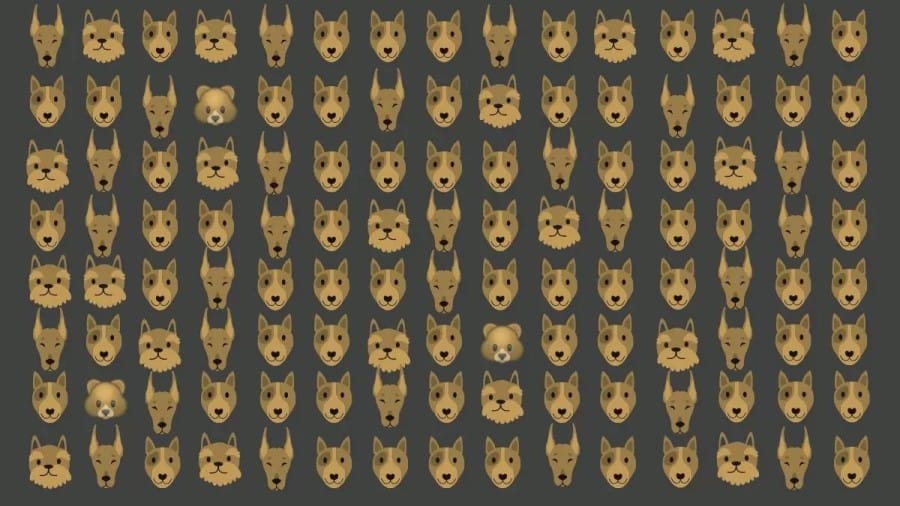 Optical Illusion: Within 20 Seconds, Can you find the 3 Bears among these Dogs? Only a Few Can Get It!
