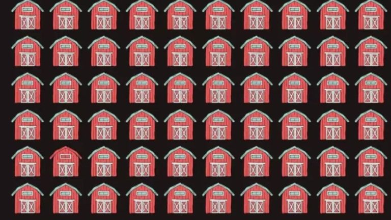 Optical Illusion for Eye Test: Can You Find the Different Barn?